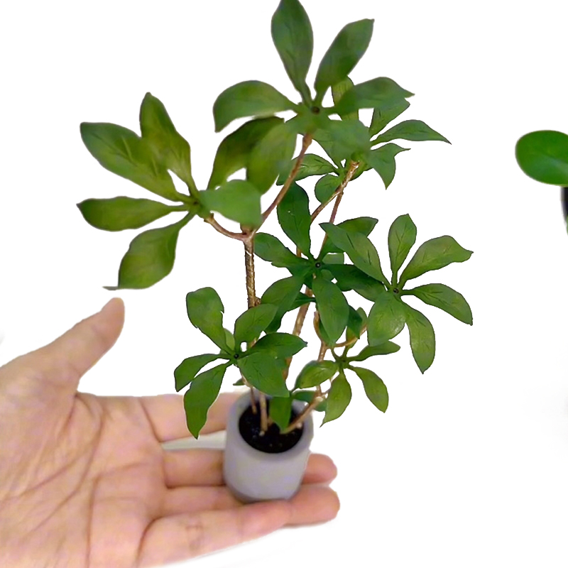 Bonsai Garden For Home - 1:6 Dollhouse Miniature Potted Plants Model