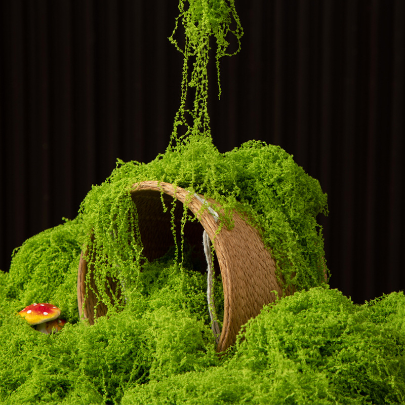 Bonsai Garden For Home - 200g Eternal Life Moss DIY Crafts