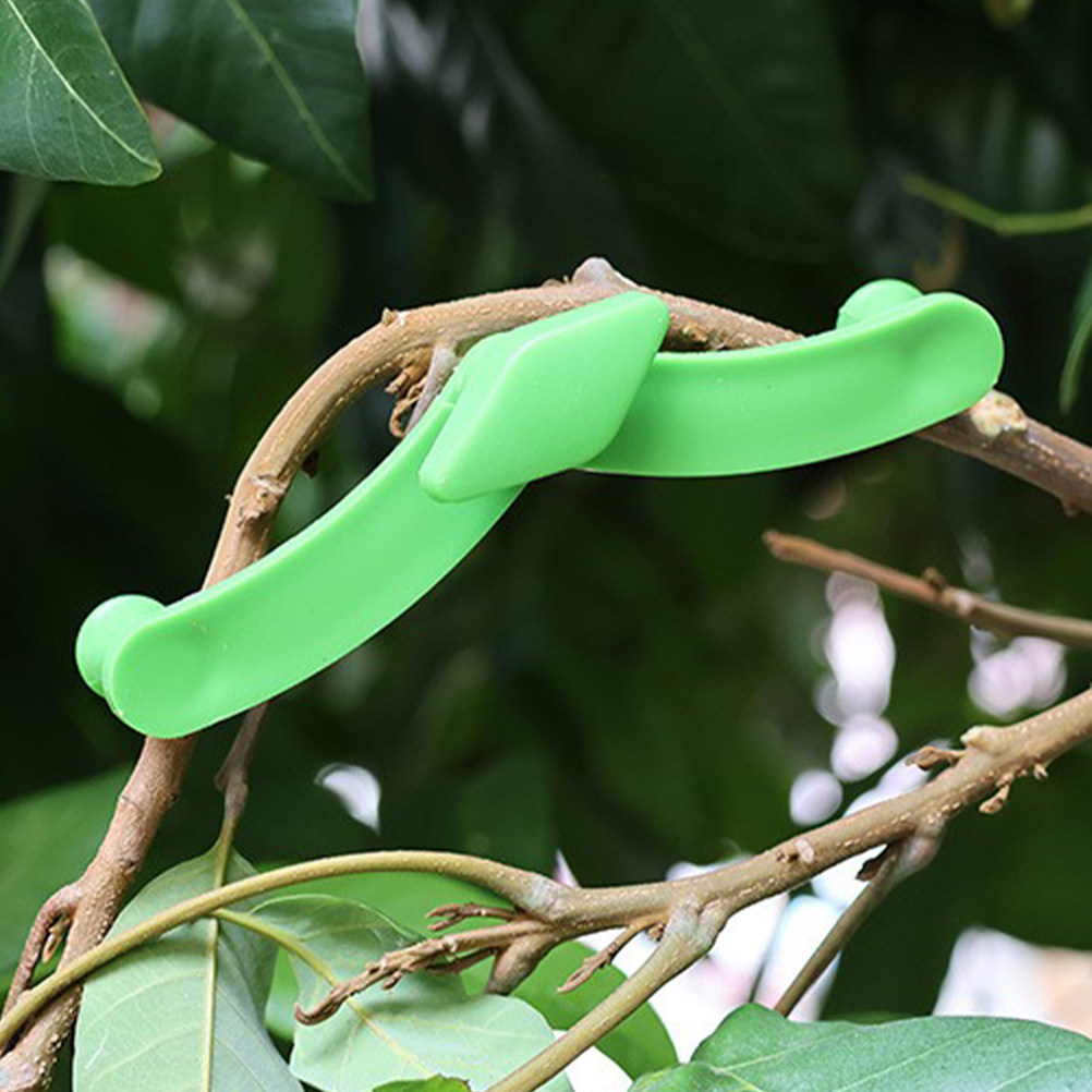 5Pcs Bonsai Branch Stabilizer  - Bonsai Garden Plants recension och pris