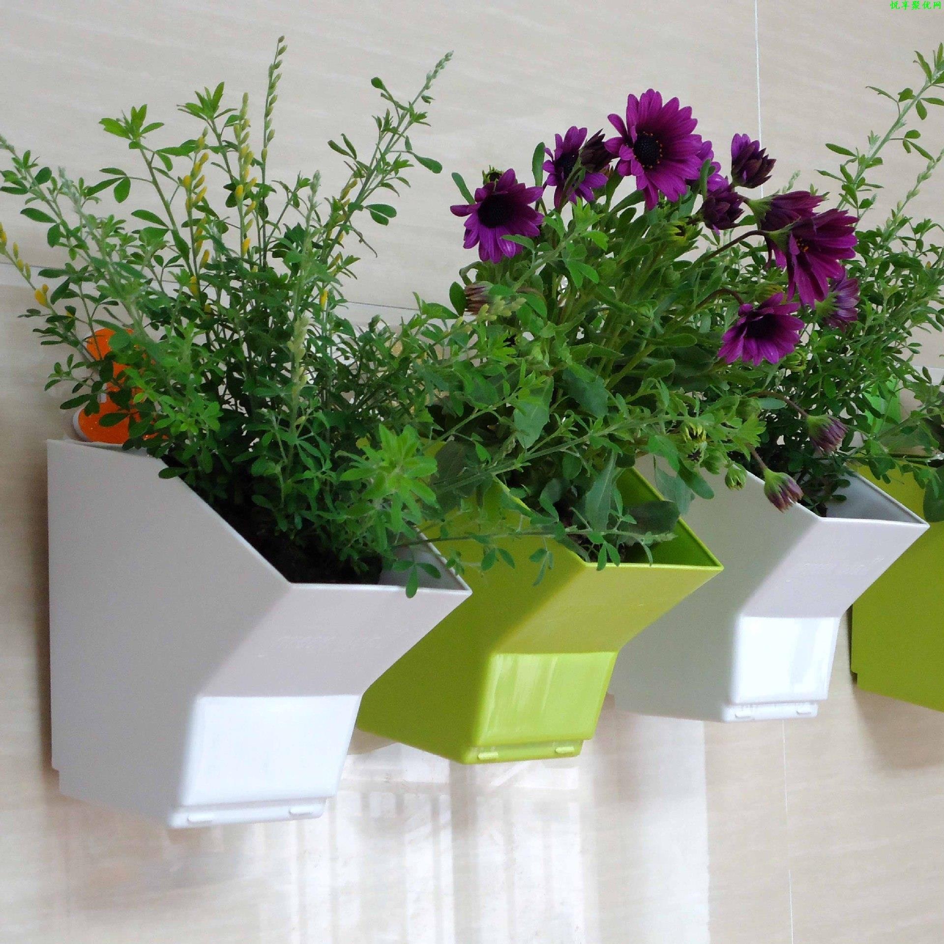 2 pcs Wall Hanging Planter Flo - Bonsai Garden Wall recension och pris