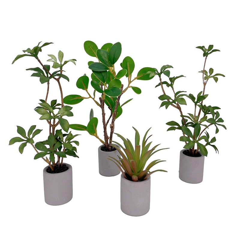 1:6 Dollhouse Miniature Potted - Bonsai Garden For Home recension och pris