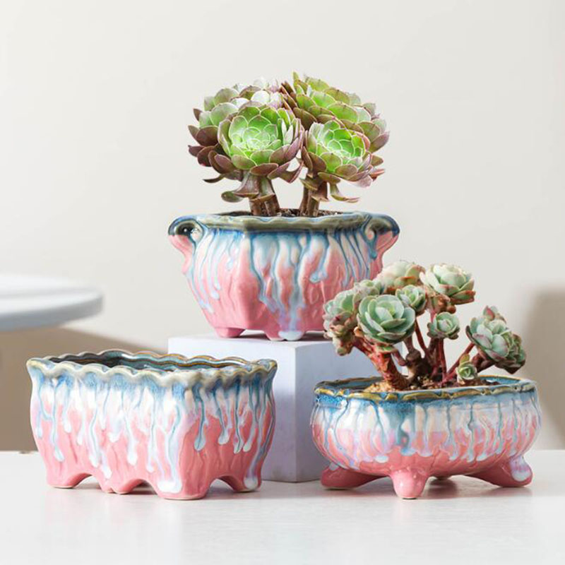 Creative Glazed Flowerpot Succ - Bonsai Tree Zen Garden recension och pris