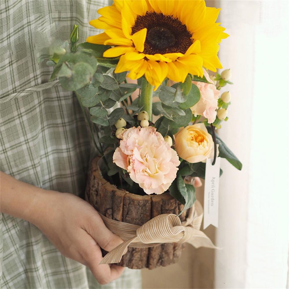 Creative Flower Pot Vintage Pl - Bonsai Tree Zen Garden recension och pris