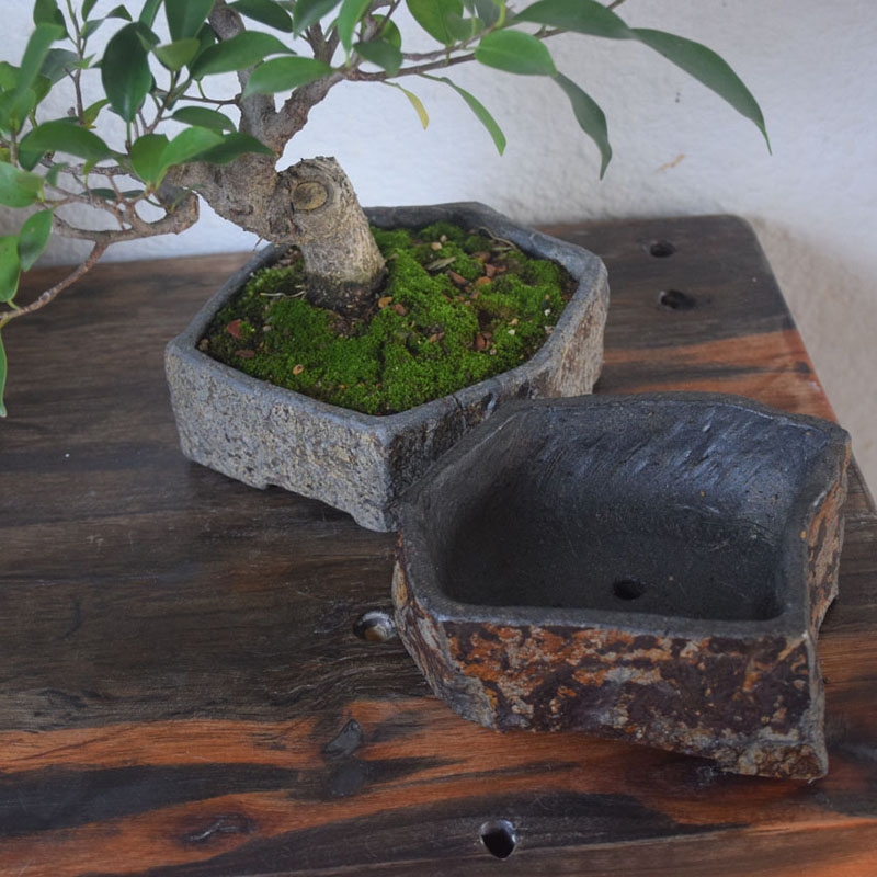 Basalt Natural Stone Flower Po - Bonsai Garden Indoor recension och pris