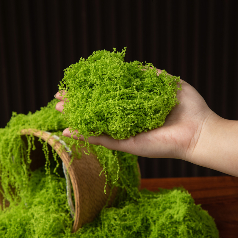 200g Eternal Life Moss DIY Cra - Bonsai Garden For Home recension och pris