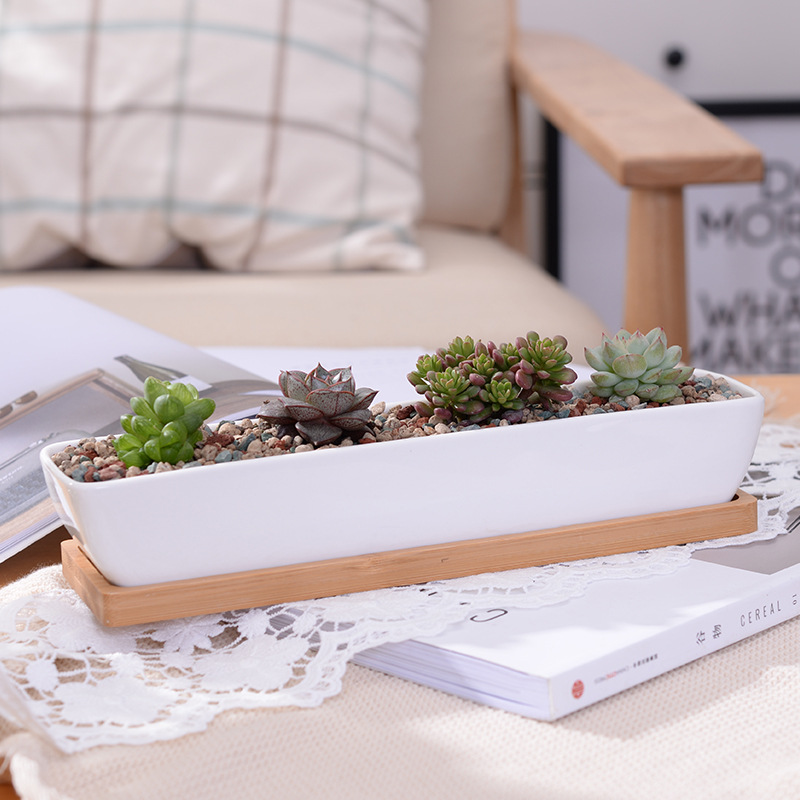 Long Rectangle White Ceramic S - Bonsai Tree Zen Garden recension och pris