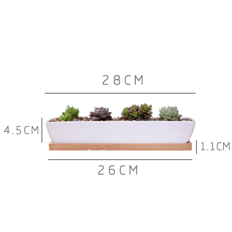 Long Rectangle White Ceramic S - Bonsai Tree Zen Garden recension och pris