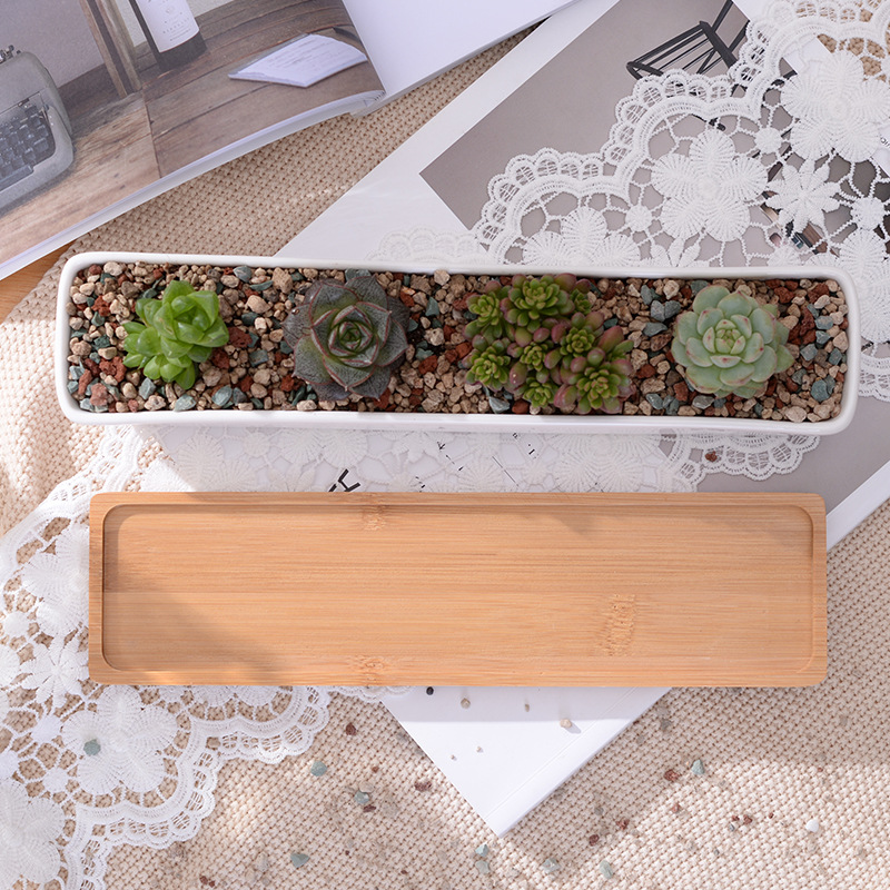 Long Rectangle White Ceramic S - Bonsai Tree Zen Garden recension och pris
