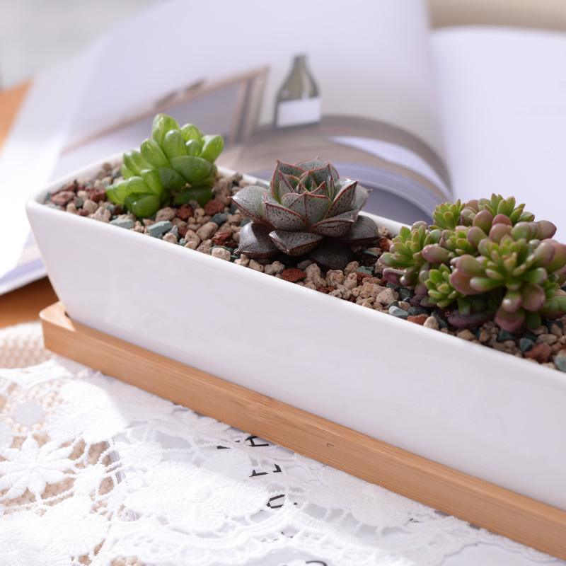 Long Rectangle White Ceramic S - Bonsai Tree Zen Garden recension och pris