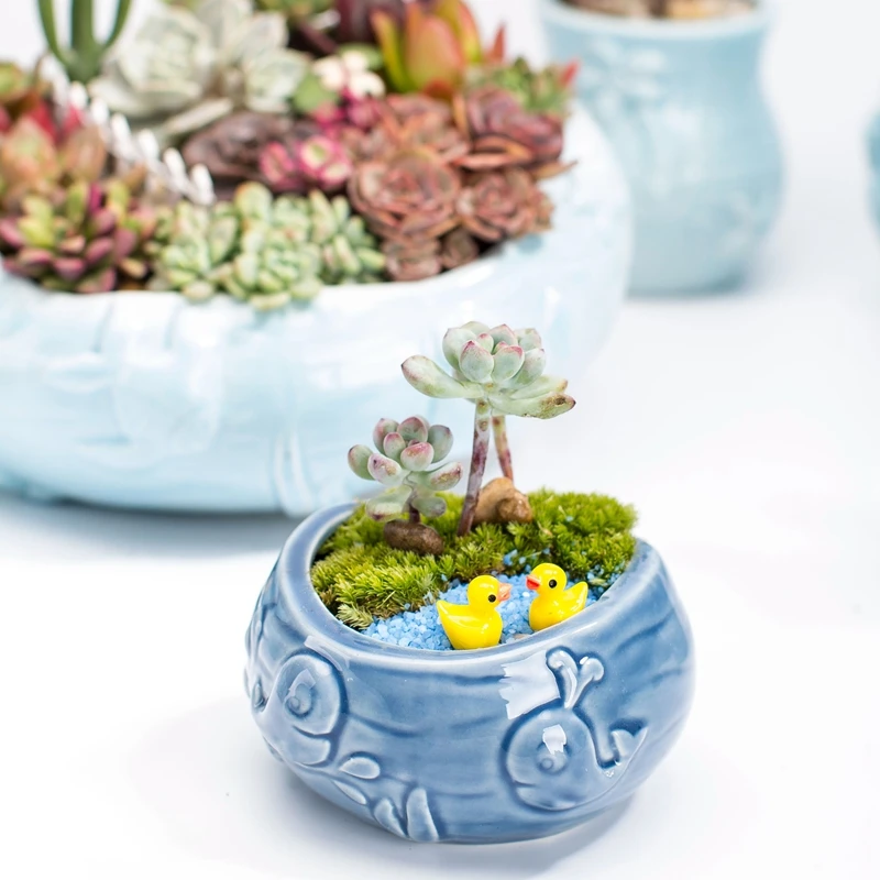 European Style Cute Fleshy Flo - Bonsai Tree Zen Garden recension och pris