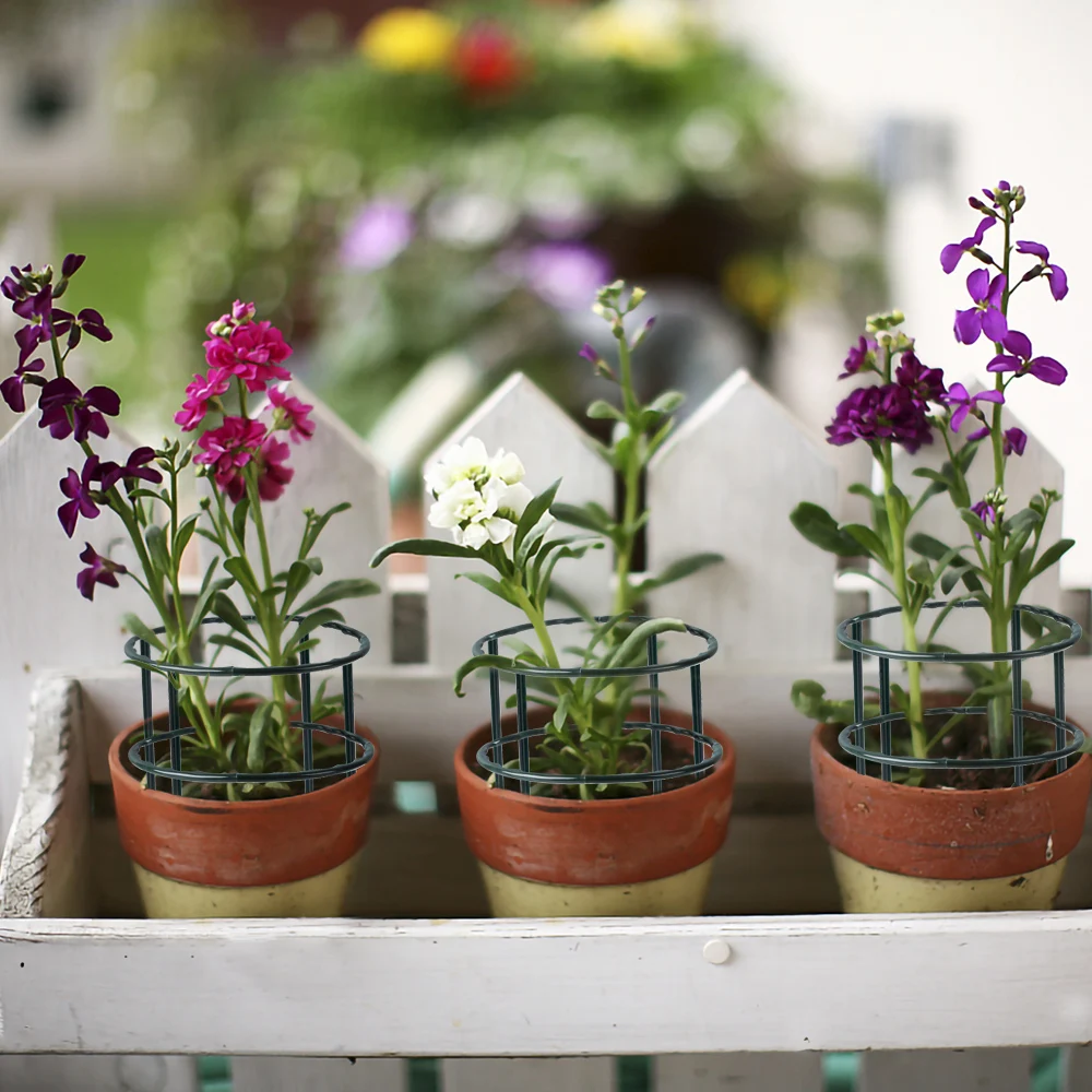 Garden Plant Support Cage Plie - Bonsai Garden House recension och pris
