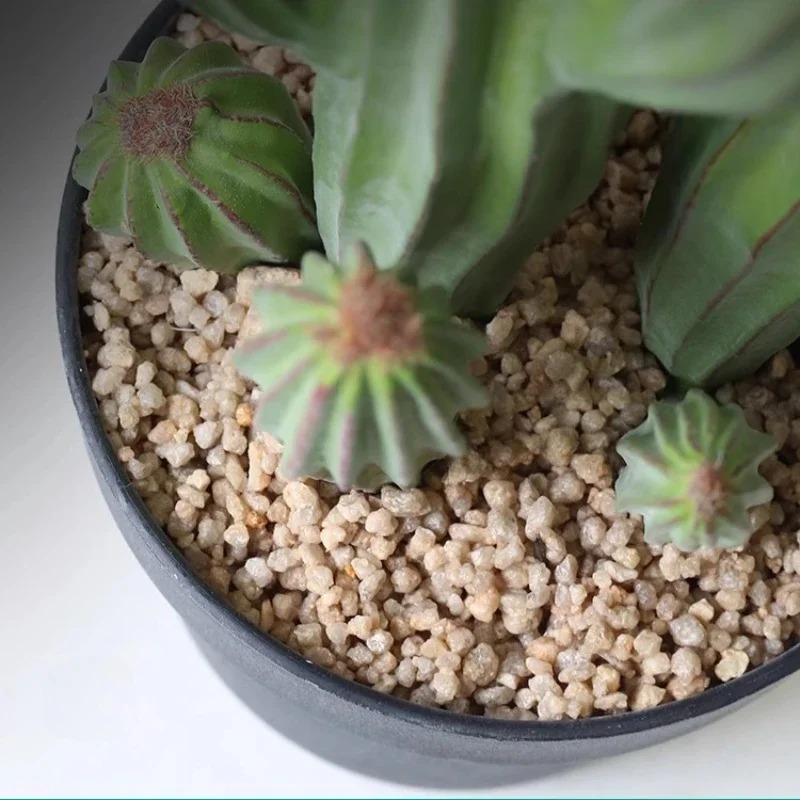 Large Modern Artificial Cactus - Bonsai Garden Indoor recension och pris