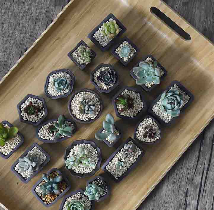 Yixing Purple Sand Flower Pot  - Bonsai Tree Zen Garden recension och pris