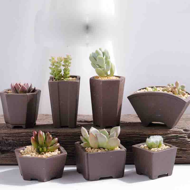 Yixing Purple Sand Flower Pot  - Bonsai Tree Zen Garden recension och pris