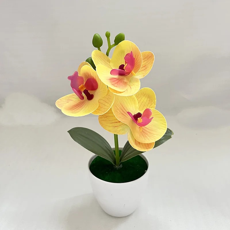 1Pcs 20CM Simulation Plants Po - Bonsai Garden For Home recension och pris