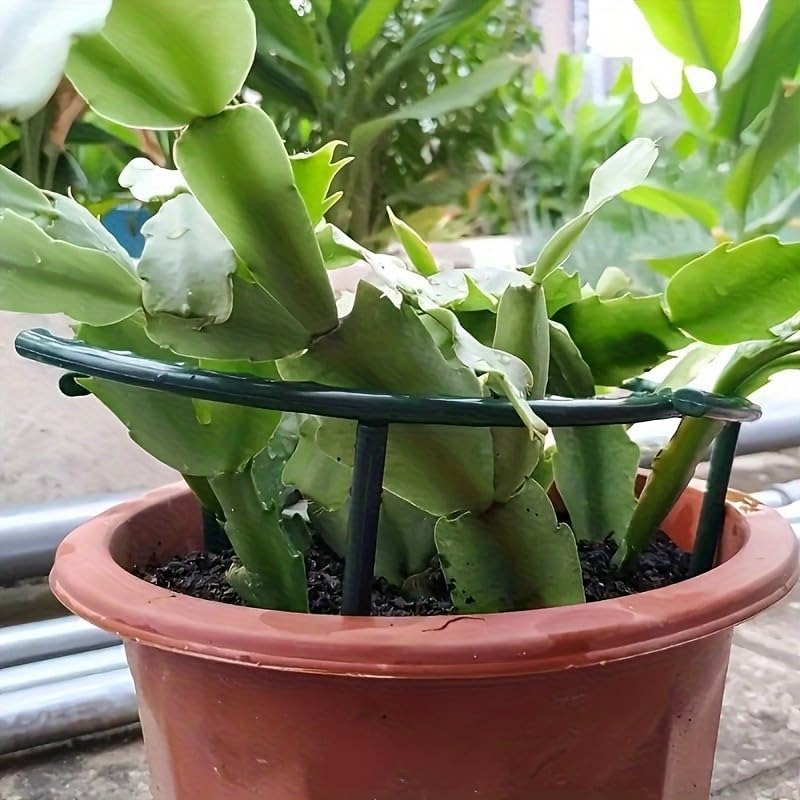 30-1PCS Plastic Plant Support  - Bonsai Garden Accessories recension och pris