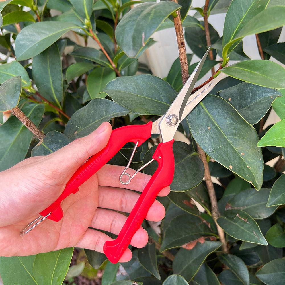 Pro Garden Pruning Shears Leng - Bonsai Garden Plants recension och pris