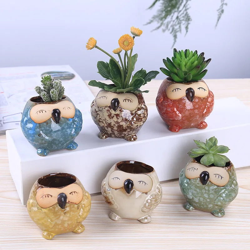 Mini Ceramic Owl Succulent Pla - Bonsai Garden Wall recension och pris