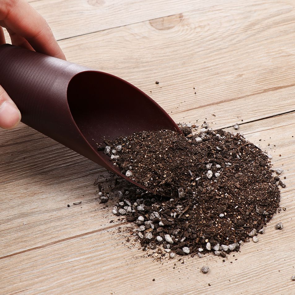 1PC Plastic Soil Shovel Cup Fo - Bonsai Garden For Home recension och pris